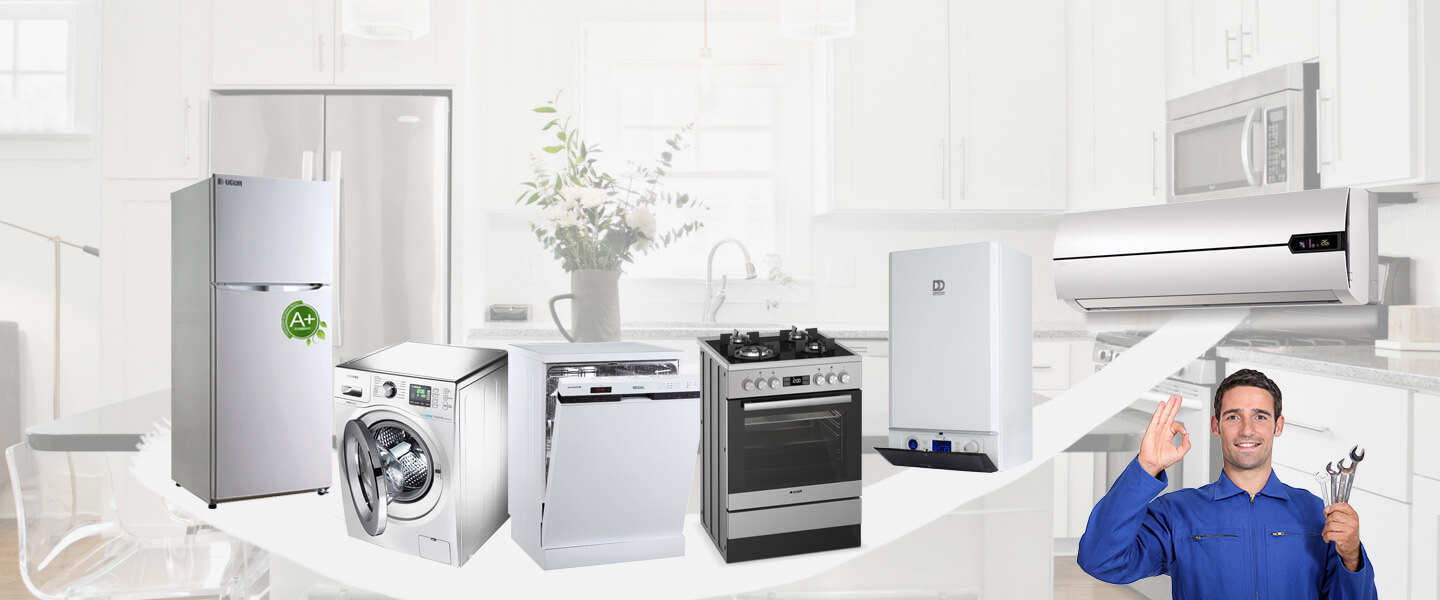 Alaybey Electrolux Servisi